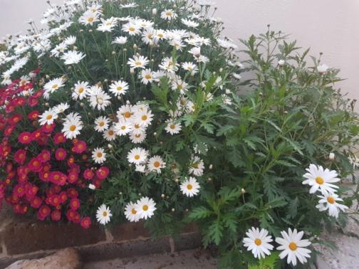 مبيت وإفطار كاستيل فولتورنو Mari En المظهر الخارجي الصورة